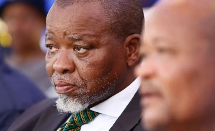 جنوب إفريقيا:رئيس المؤتمر الوطني الحاكم يؤكد تزايد التوترات مع الولايات المتحدة