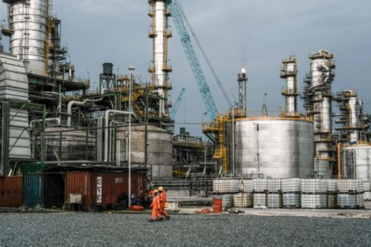 النيجر تخطط لخفض عدد عمال النفط الصينيين