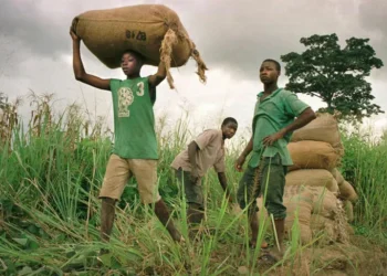 تقرير دولي: إفريقيا تتقدم العالم في عمالة الأطفال