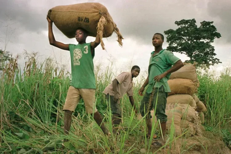 تقرير دولي: إفريقيا تتقدم العالم في عمالة الأطفال