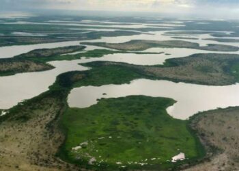 السياسات المائية لدول حوض بحيرة تشاد