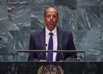 الإفريقي يرحب بحل مجموعتين مسلحتين في إفريقيا الوسطى