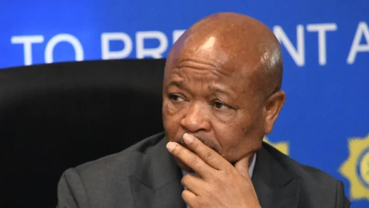 إيقاف وزير شرطة جنوب إفريقيا عن العمل بسبب شبهات تربطه بالجريمة المنظمة