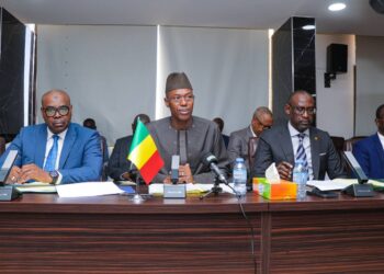 مالي وروسيا تبحثان التعاون في مجال الطاقة خلال اجتماع مشترك