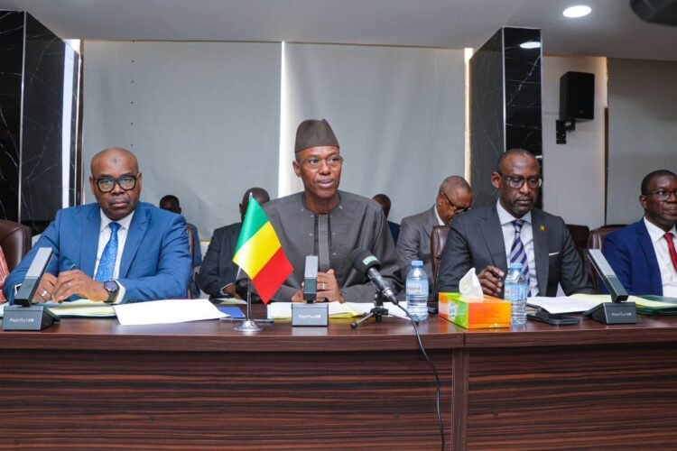 مالي وروسيا تبحثان التعاون في مجال الطاقة خلال اجتماع مشترك