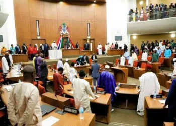 غامبيا.. نواب الجمعية الوطنية يرفضون مشروع الدستور الجديد