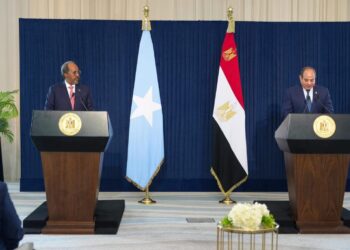 رئيسا مصر والصومال يبحثان أوضاع القرن الإفريقي وأمن البحر الأحمر