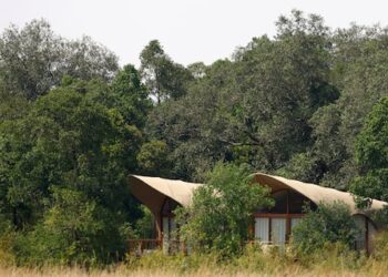 دراسة: السياحة الفاخرة في إفريقيا تفشل في تحقيق فائدة للسكان المحليين