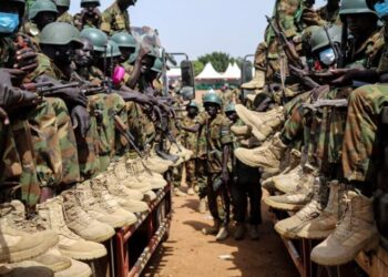 ما بعد فرنسا: مَلامح النظام الأمني الجديد في إفريقيا جنوب الصحراء