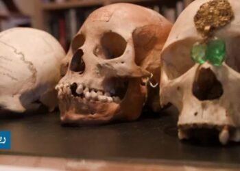 فرنسا تعيد ثلاث جماجم بشرية من الحقبة الاستعمارية إلى مدغشقر