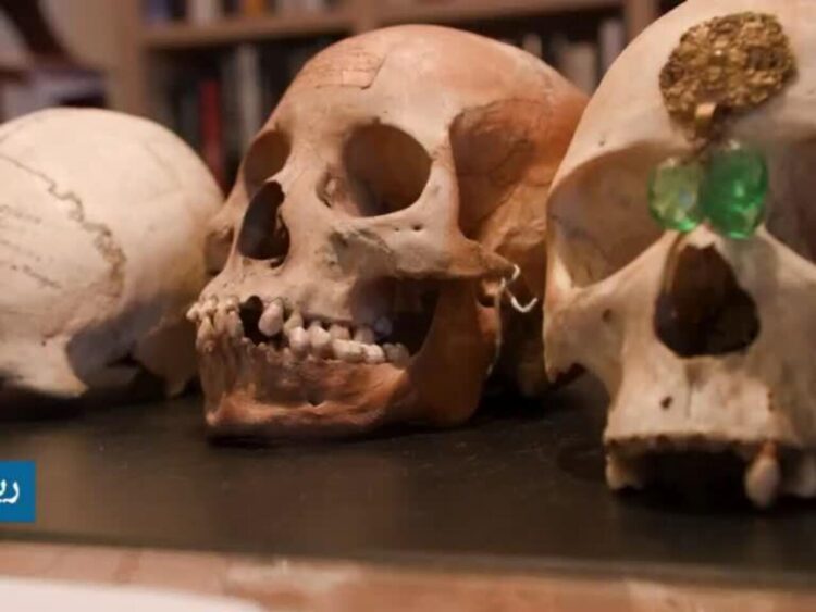 فرنسا تعيد ثلاث جماجم بشرية من الحقبة الاستعمارية إلى مدغشقر