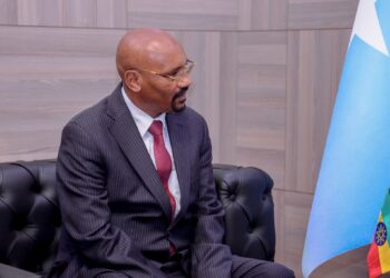 إثيوبيا تعرب عن استيائها من نشر القوات المصرية في الصومال