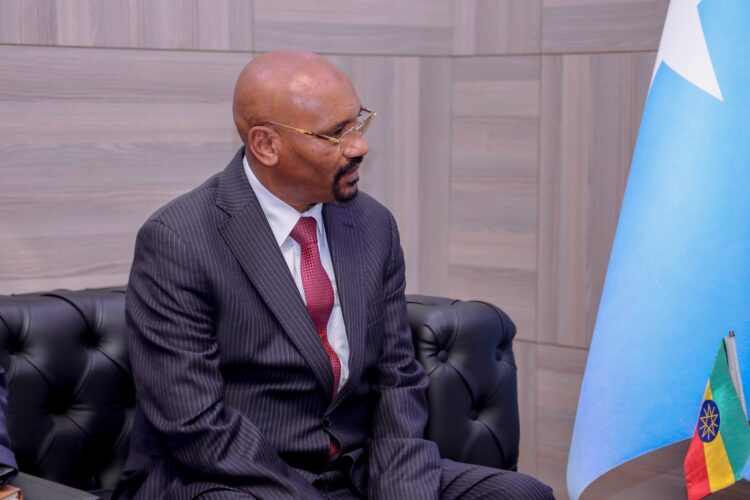 إثيوبيا تعرب عن استيائها من نشر القوات المصرية في الصومال