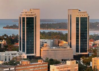 الاستثمار المباشر في تنزانيا بين الفرص والتحديات