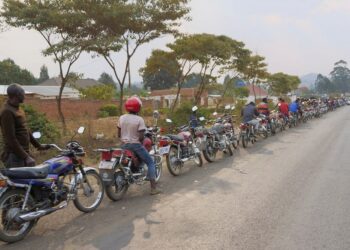 مالاوي تُصوّت لاختيار الرئيس والبرلمان والمجالس المحلية