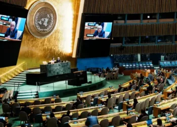 إعلان نيويورك وحلّ الدولتين: هل فشلت إفريقيا في صياغة موقف مُوحَّد؟