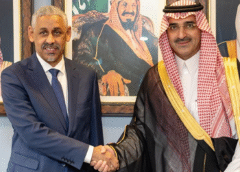 الإفريقي للتنمية والمؤسسات السعودية تعمقان شراكتهما لتعزيز الاستثمارات في إفريقيا