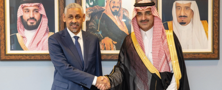 الإفريقي للتنمية والمؤسسات السعودية تعمقان شراكتهما لتعزيز الاستثمارات في إفريقيا