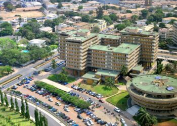 إسهامات الجامعات الإسلامية في مدينة «لومي» في خدمة الدعوة الإسلامية:  الواقع والتحديات والآفاق