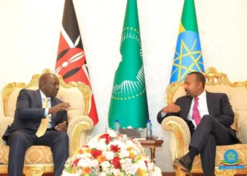 بين الأمن والسياسة:  قراءة في دوافع اتفاقية الدفاع بين إثيوبيا وكينيا وتداعياتها المستقبلية