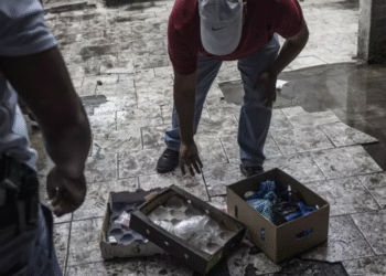 تقرير دولي جديد يكشف خريطة تطور الجريمة المنظمة في إفريقيا