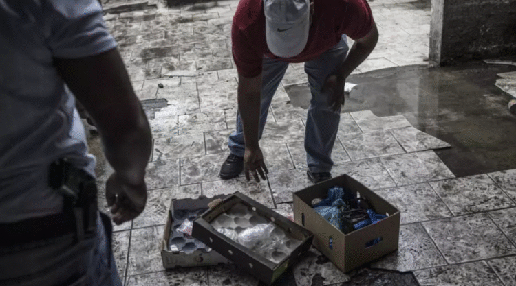 تقرير دولي جديد يكشف خريطة تطور الجريمة المنظمة في إفريقيا