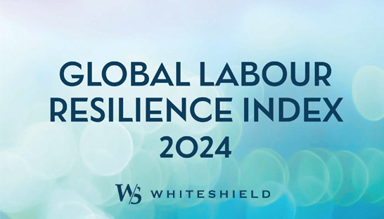 قراءة تحليلية لموقع بلدان إفريقيا جنوب الصحراء  في مؤشر مرونة العمل العالمي لعام 2024