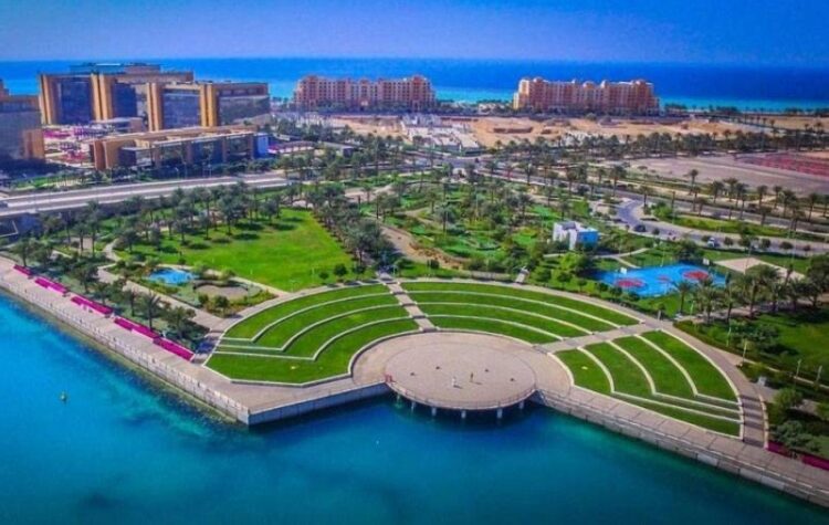 المناطق الاقتصادية الخاصة ودورها في تحقيق التنمية في إفريقيا جنوب الصحراء