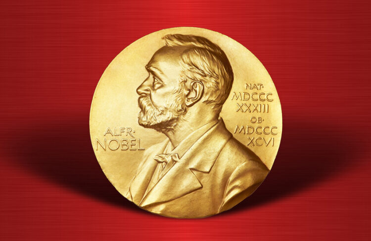 نوبل في الاقتصاد 2025م وإفريقيا جنوب الصحراء