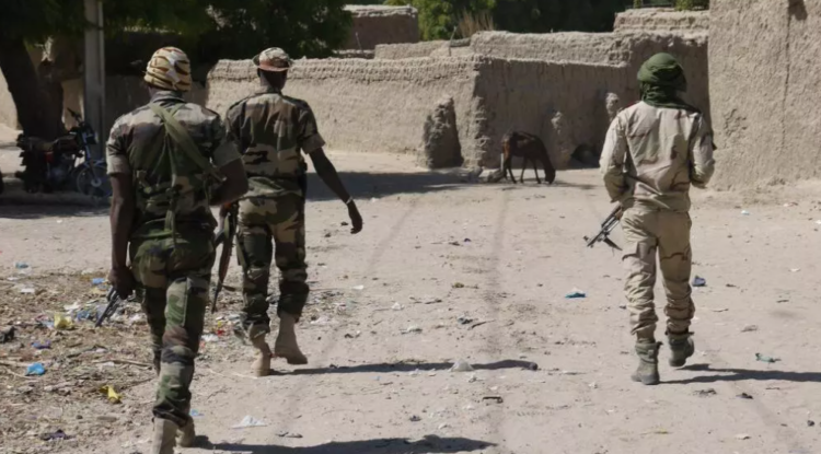 النيجر: مسلحون يقتلون نحو 30 مدنياً في هجوم بمنطقة تيلابيري