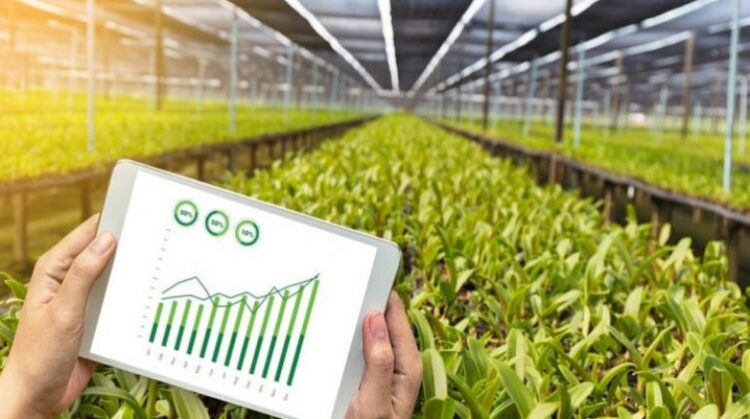 الزراعة الرقمية في إفريقيا عند نقطة التحول: قراءة تحليلية في إستراتيجية الاتحاد الإفريقي