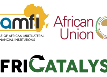 الصندوق الإفريقي لتمويل البنية التحتية .. خطوة هامة نحو تعزيز البنية المالية في القارة