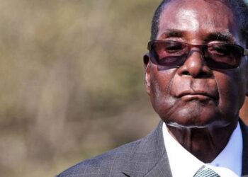 ملفات إبستين تشير إلى وجود علاقات مالية بينه وبين روبرت موغابي