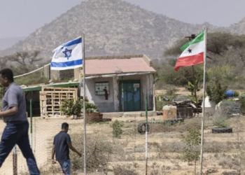 أرض الصومال تعلن استعدادها تقديم امتيازات خاصة للولايات المتحدة