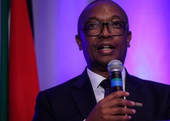 جنوب إفريقيا تخطو خطوة نحو اتفاقية تجارية مع الصين