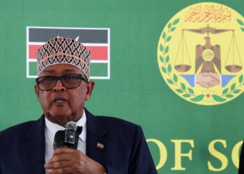 زعيم أرض الصومال يتوقع التوصل إلى اتفاقية تجارية مع إسرائيل