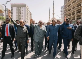 قمة ثلاثية بين الصومال وإثيوبيا وجيبوتي لتعزيز التعاون الإقليمي