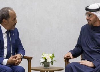 القطيعة بين مقديشو وأبوظبي.. وتداعياتها على تماسك الداخل الصومالي