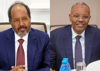 الجيش الصومالي يسيطر على أكبر مدينة في ولاية الجنوب الغربي