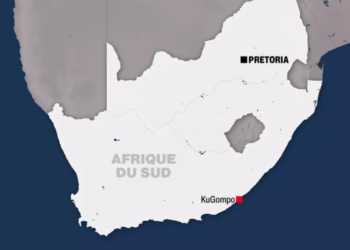 توترات وأعمال عنف معادية للنيجيريين في جنوب إفريقيا