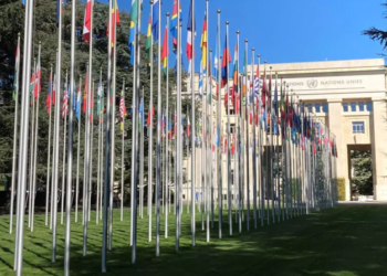 الامم المتحدة