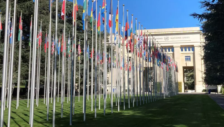 الامم المتحدة