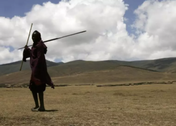 تنزانيا تعتزم نقل الماساي من “نغورونغورو” وسط جدل حقوقي وبيئي واسع