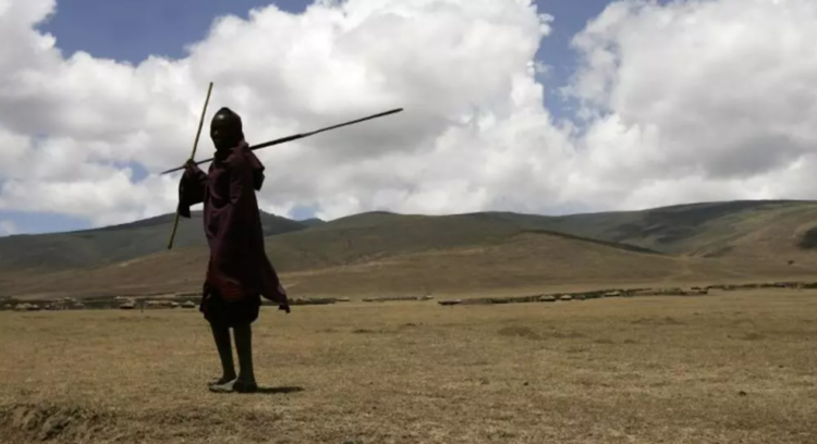 تنزانيا تعتزم نقل الماساي من “نغورونغورو” وسط جدل حقوقي وبيئي واسع