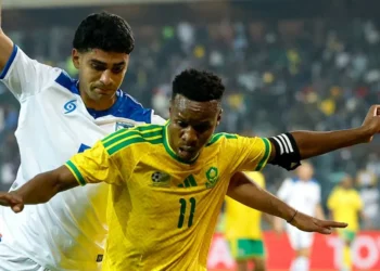 منتخب جنوب افريقيا