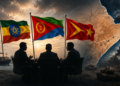إثيوبيا وإريتريا وجبهة تيغراي: من يجر القرن الإفريقي إلى الحرب؟ (مناظرة افتراضية)