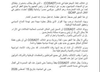 تحالف إنقاذ الديمقراطية في تشاد