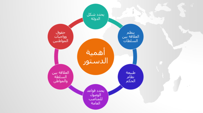 (شكل 1): أهمية الدستور في النظم السياسية 