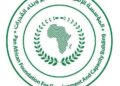 المؤسسة الإفريقية لبناء القدرات