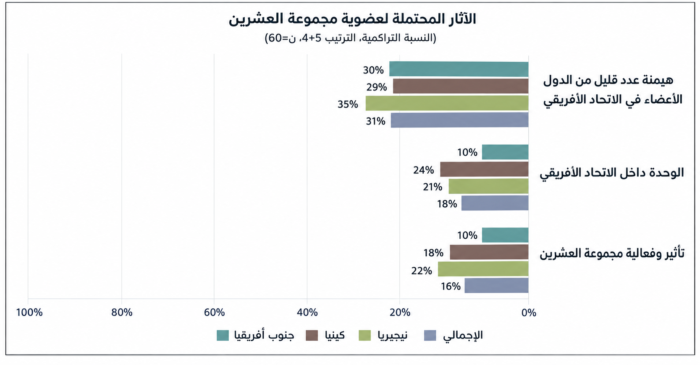 تصورات الخبراء بشأن الآثار المحتملة لعضوية الاتحاد الإفريقي الدائمة في مجموعة العشرين